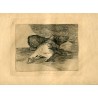 Goya etching. He gets something out of it ('Algún partido saca'). Plate 40 from Disasters of War etching series, 1937 edition.