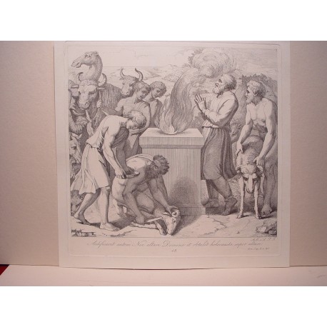 «El sacrificio de Noé»