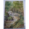 Creek Aquarelle de l'école anglaise du XIX-XX siècle