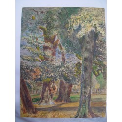 BosqueAcuarela de la escuela inglesa del siglo XIX-XX.