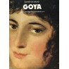 Goya Xavier de Salas