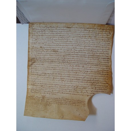 Documento notarial del siglo XVI sobre pergamino