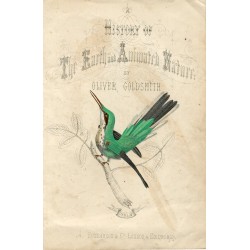 Pájaros. History of the Earth and Animated Nature Oliver Goldsmith.