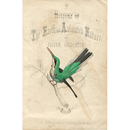 Pájaros. History of the Earth and Animated Nature Oliver Goldsmith.