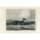 Animales. Dog. Greyhound and Hare