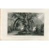 Escocia. An arbour in Regent Murray' s Garden grabado en 1830 por S. Lacey