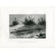 Los rápidos sobre las Cataratas del Niágara. a partir de obra de WH Bartlett. Grabado por R. Brandard (1840)