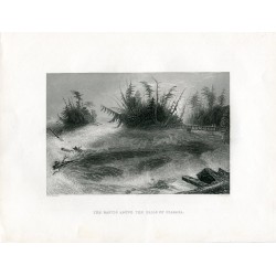 EEUU The rapide above the falls of Niagara grabado por R. Brandard.