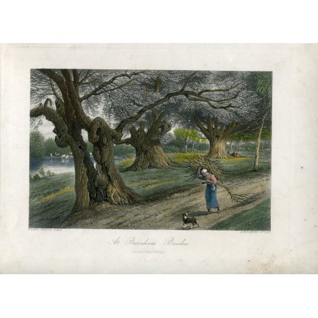 Inglaterra. At Burnham Beeches. Grabado por A. Willmore.