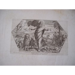 Creavit  omnem animam viventem grabado por Cesar Fantetti (Fantectus)