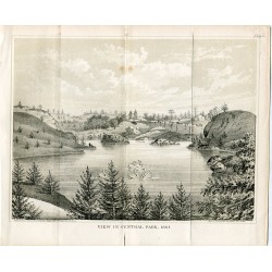 View in central Park N. Y. litografia por Geo. Hayward en 1861, litografia.
