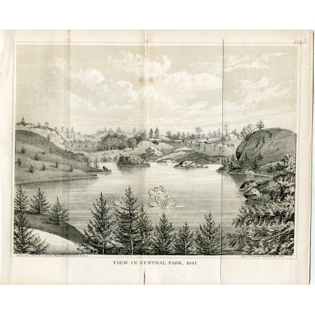 View in central Park N. Y. litografia por Geo. Hayward en 1861, litografia.