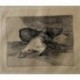 Goya etching. He gets something out of it ('Algún partido saca'). Plate 40 from Disasters of War etching series, 1937 edition.