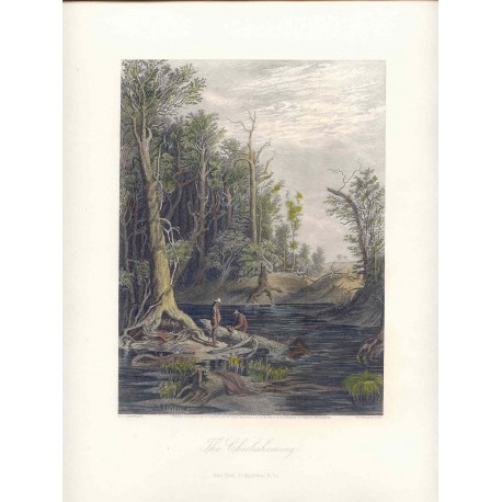 Estados Unidos. «The Chickahominy» Dibujó William Ludlow Sheppard (  -1912). Grabó William Wellstood (1819-1900).