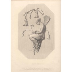 Blue-Bell grabado deW. Roffe