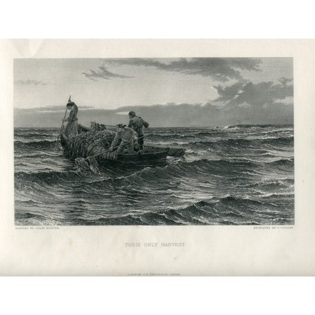 «Their only harvest» grabado por C. Cousen sobre obra de Colin Hunter